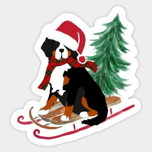 Bernese Mt Dog Bringing Home Xmas Tree Sticker